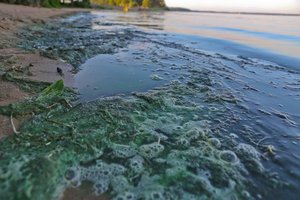 Aplinkos ministerija siūlo atsisakyti perteklinių reikalavimų kompostuojant atliekų dumblą