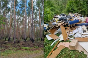 G. Martirosian šokiravo tai, ką išvydo miške: vilniečių pamėgta vieta naudojama kaip šiukšliadėžė 