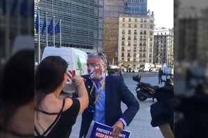 Incidentas Briuselyje: aktyvistės „Ryanair“ vadovui į veidą metė du pyragus