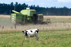 Šie veiksmai gali kainuoti tūkstančius: priminė, kas yra nesąžininga prekyba ir kas gresia nepaisantiems įstatymų