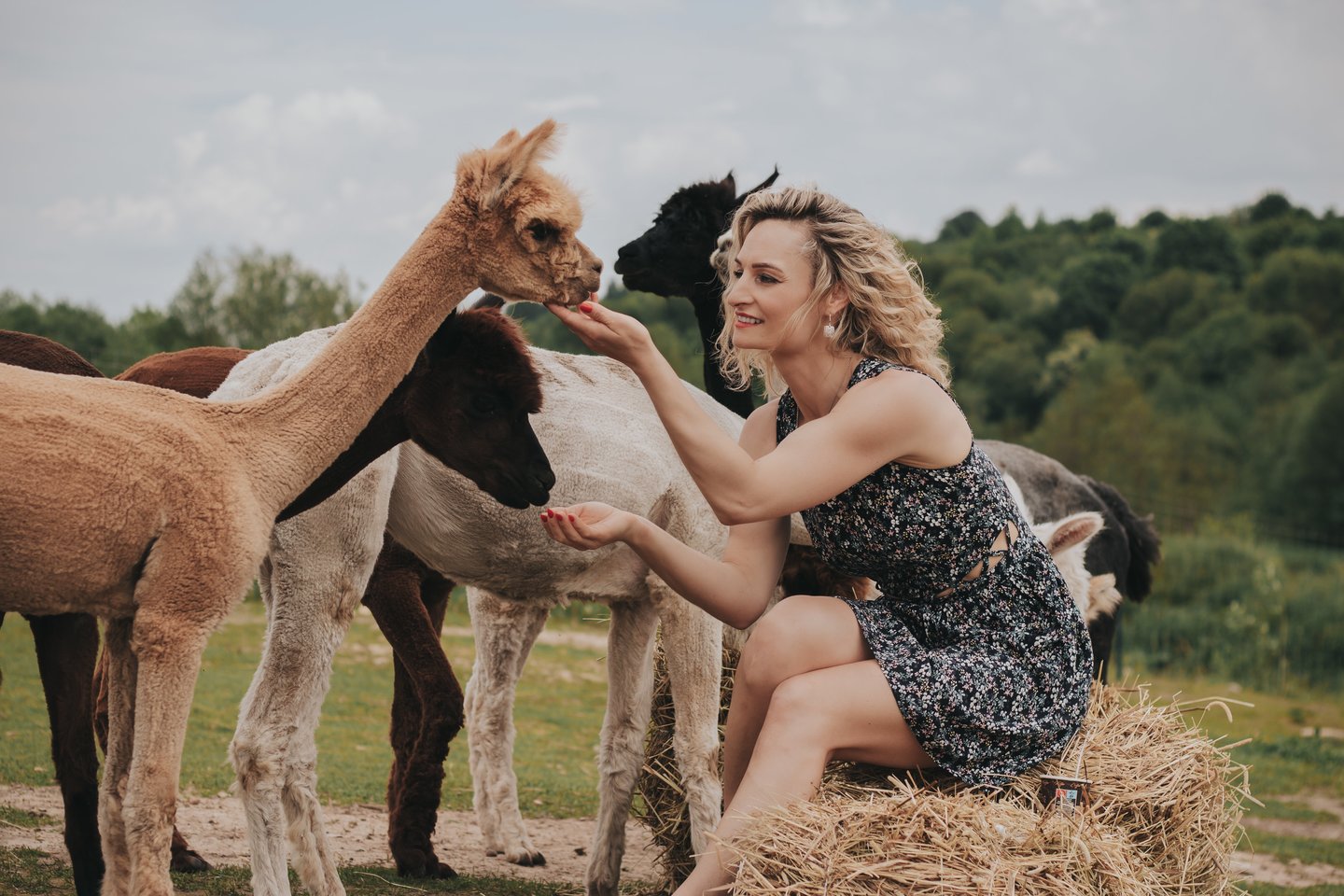  Jurgita Petrulionė ir jos „Vokės Vingio alpakų“ ūkis.<br> „Alanela photography“ nuotr.