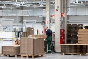 Įvertino didžiausio antrojo ketvirčio BVP augimo euro zonoje priežastis – jos nėra labai džiuginančios