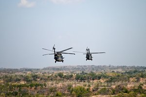 JAV ir Armėnija pradėjo bendras karines pratybas