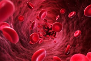 Ištyrė kosmoso įtaką kraujo kūneliams – padės ir pacientams Žemėje