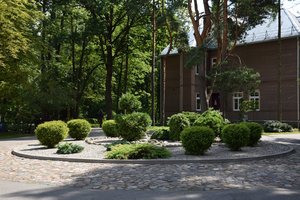 Panevėžiečiai patys išsirinko gražiausią miesto sodybą: sukurtas grožis įkvepia visus