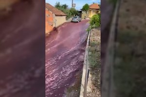 Portugalijos miestelyje – neįprastas vaizdas: gatvėje tekėjo tikra vyno upė
