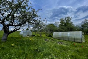 Turite sodo namelį ar žemės sklypą? Skelbia, ką tokiu atveju jums reikėtų žinoti