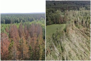 Panevėžio ir Joniškio savivaldybėse skelbiama stichinė nelaimė: praneša, ką svarbu žinoti