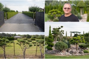 Kaunietis kieme sukūrė stebuklą: atskleidė, kas svarbiausia norint paprastus augalus paversti išskirtiniais