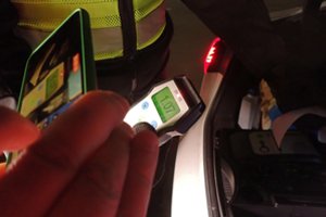 Įkaušęs vairuotojas bandė pasprukti nuo pareigūnų – kelionė baigėsi griovyje