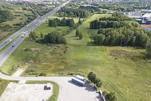 Supratę, kas įvyko, liko pakraupę: iškirsta beveik tūkstantis medžių, bet niekas nepastebėjo