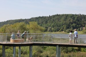 Kauno rajone atvertas naujas pažintinis takas: pasitiks užburianti Nemuno panorama ir vabzdžių viešbučiai