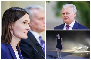 V. Čmilytė-Nielsen įvertino prezidento dekretą dėl M. Drobiazko pilietybės atėmimo: tai moralinis ir politinis sprendimas