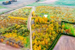 Užsiimantys šia veikla sutarčių vis dar nepripažįsta: išvardijo, kada gresia solidžios baudos