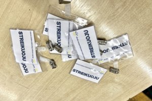 Mokytojai streikavo ir Ukmergėje: dėl protesto rugsėjo pabaigoje dar laukia derybų rezultatų