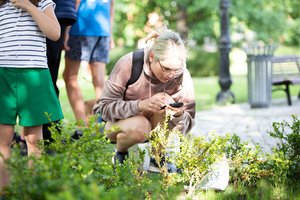 Maišiagalos dvaro sode – interaktyvi pramoga: kvies susipažinti ne tik su dvaro istorija, bet ir aplinkosauga