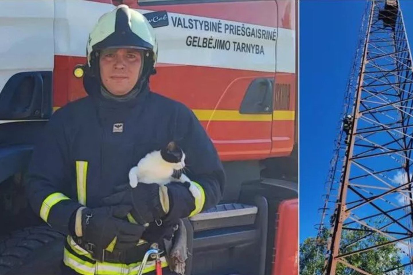 Katinui drąsos užteko tik užlipti į seną radijo ryšio bokštą: nukelti teko ugniagesiams gelbėtojams.<br>„Vakarų ekspreso“/Valstybinės priešgaisrinės gelbėjimo tarnybos nuotr.