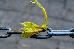 Per parą Lietuvoje – 476 nauji koronaviruso atvejai