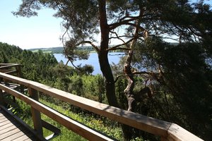 TOP 3 pėsčiųjų takai Lietuvoje, puikiai tinkantys gamtos mylėtojams