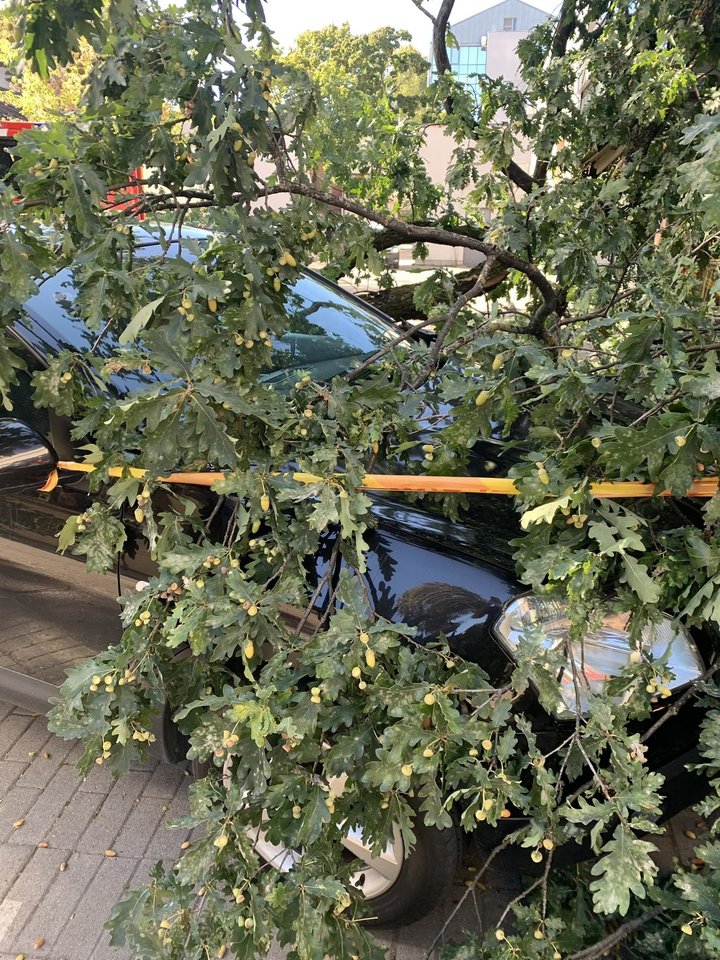 Nulūžusi medžio dalis apgadino automobilį ir šalia esantį viešbučio fasadą bei kitus statinius.<br>Linos/„Kas vyksta Kaune“ nuotr.