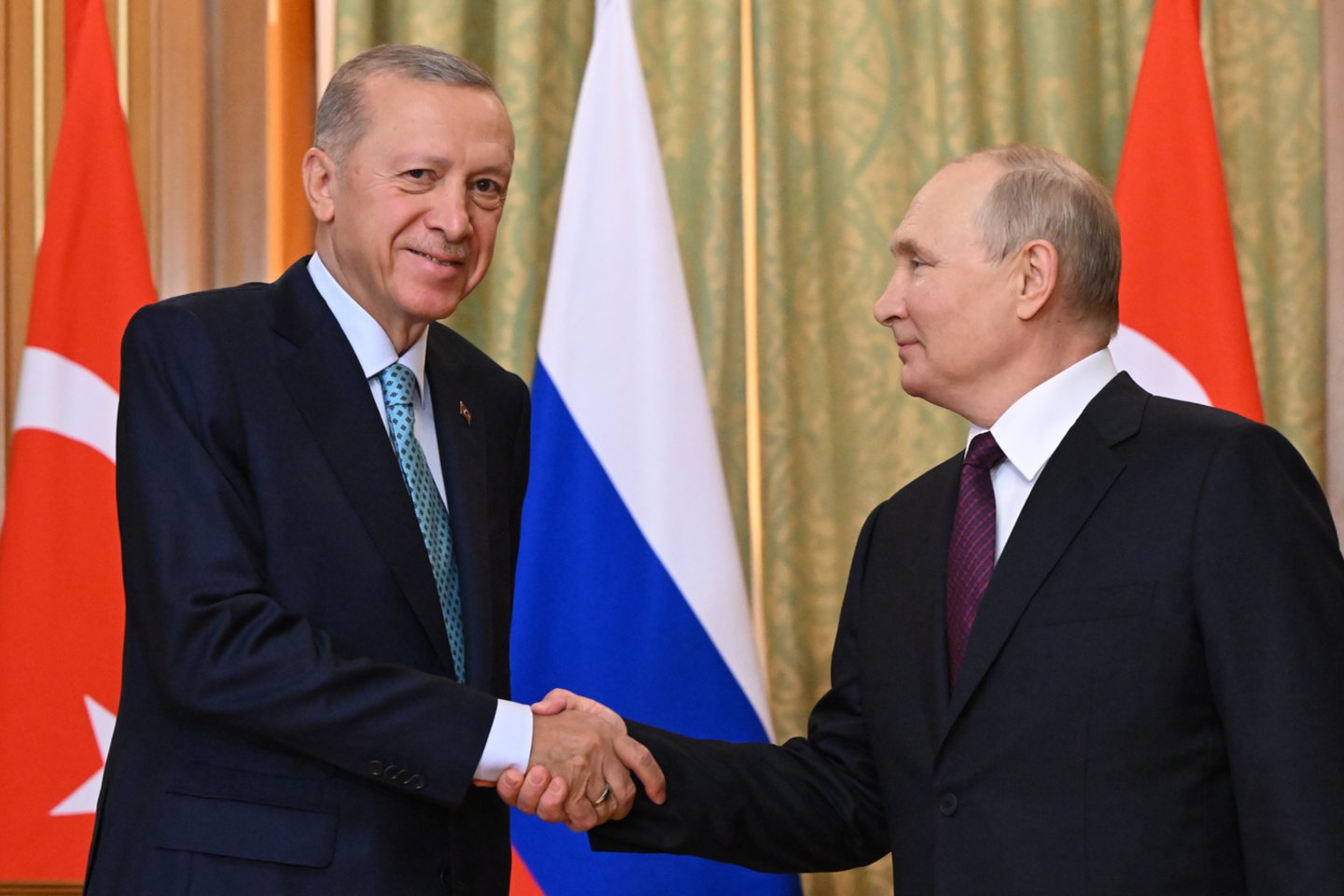 V. Putinas ir R. T. Erdoganas.<br>EPA/ELTA nuotr.