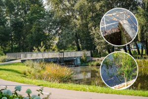 Panevėžiečiai piktinasi apleistu tvenkiniu Skaistakalnio parke: „Ši vieta tapo tikru šabakštynu“