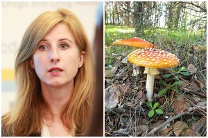 Į ligoninę pakliuvo musmirių prisivalgęs vilnietis: medikus šiurpina Lietuvoje plintantis liaudiškas gydymosi būdas