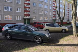 Kovą tarp medžių ir automobilių statymo vietų laimėjo septynios liepos