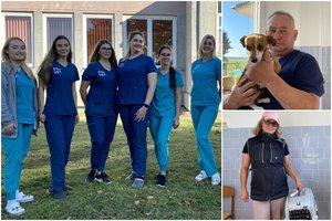 Lietuvoje prasideda masinė gyvūnų kastracija: laikinoje klinikoje kasdien nemokamai kastruos pusšimtį šunų ir kačių