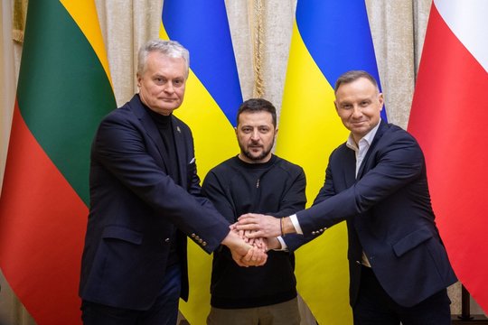 Lietuva stengiasi sutaikyti Lenkiją ir Ukrainą: atsakė, ko dėl to galime sulaukti