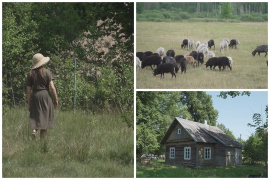 Apsigyvenimas kaimo sodyboje padėjo užmegzti ryšį su gamta: avių auginimas prilygsta vidinei ramybei 