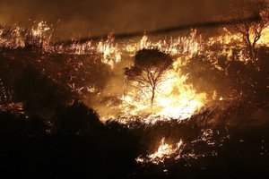 Per gaisrus Sicilijoje žuvo du žmonės, iš viešbučio evakuoti turistai