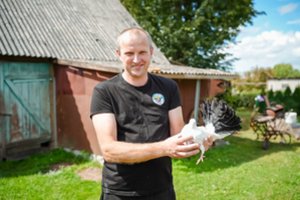 Ypač retus karvelius veisiantis pasvalietis parodė, kuo didžiuojasi: „Trejus metus vokiečio prašiau, kad parduotų“