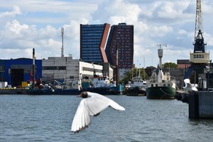 Klaipėdos uoste augo grūdų, energetinių išteklių bei konteinerių krova