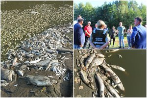 Dėl ekologinės nelaimės Kazlų Rūdoje skelbiama ekstremali situacija