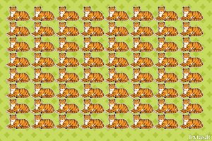 Raskite per 9 sekundes: kuris tigras skiriasi nuo kitų?