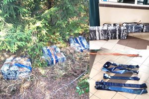 Varėnos rajono miške pasieniečiai po eglių šakomis aptiko 3 tūkst. pakelių kontrabandinių rūkalų