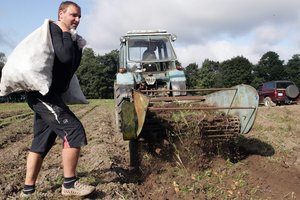 Stichijų talžyti ūkininkai nerimauja dėl rudeninio lietaus 