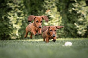 6 priežastys spalio 7-ąją atvykti į Vingio parką Vilniuje