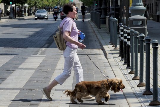 Rugsėjo pabaigą ir toliau lydės saulėti orai: įdienojus temperatūra sieks iki 26 laipsnių