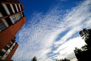 Portalas „NTsandoriai“ skelbia stabdantis savo veiklą – viskas dėl vienos priežasties