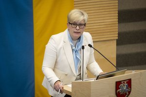 I. Šimonytė prabilo apie opozicijos manipuliacijas ir veidmainystę: kai kyla pedofilijos skandalai, jie kalba visai kitaip