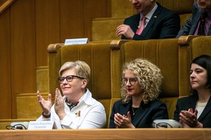 „Užtenka pataikauti tamsai“: Seimas apsisprendė kreiptis į KT dėl Stambulo konvencijos