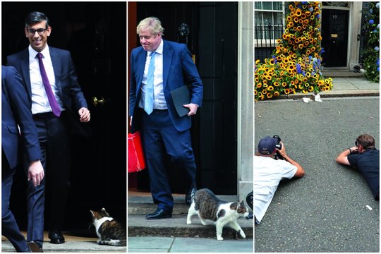 Tikrasis Dauningo gatvės bosas: bene garsiausias pasaulio katino gyvenimą ir kovas stebi būriai žurnalistų.