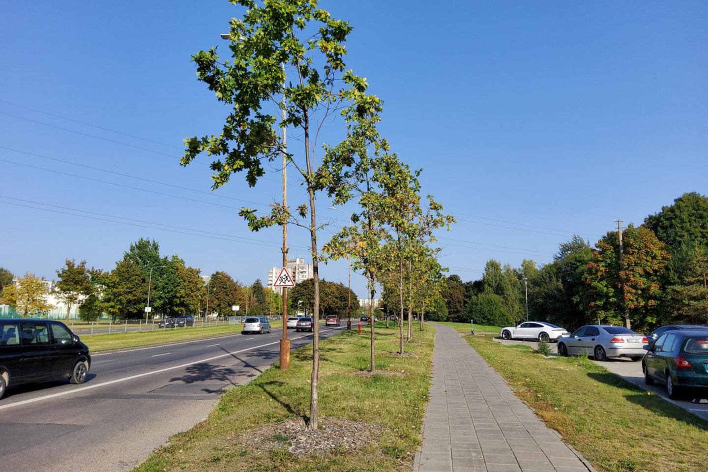 Iš daugiafunkcio komplekso teritorijos persodinti medžiai Ozo, Gelvonų ir Loretos Asanavičiūtės gatvėse.<br>Vilniaus m. sav. nuotr.
