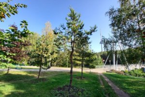 Daugiafunkcio komplekso statybos: teritorija ruošiama pamatų statybai – teks pašalinti 56 medelius