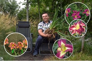 29 metų mokslininko kieme netoli Kauno – gėlių viešpatija: pirkėjai už sodinuką negaili ir triženklių sumų