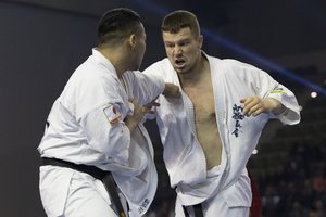 Pasaulio kiokušin karatė žvaigždės vardo besikratantis E. Gužauskas žavėtųsi neįtikėtinu scenarijumi – pusfinalyje susiremti su treneriu