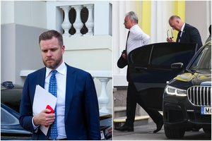 Šaltiniai: ministerijos tyrėjų žvilgsnis – nepalankus ambasadoriui, G. Nausėdos laukia sunkus apsisprendimas