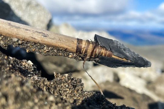  Naujai rasta strėlė turi kvarcito strėlės antgalį, kuris buvo pritvirtintas prie beržo koto.